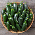 Jalapeno pepper