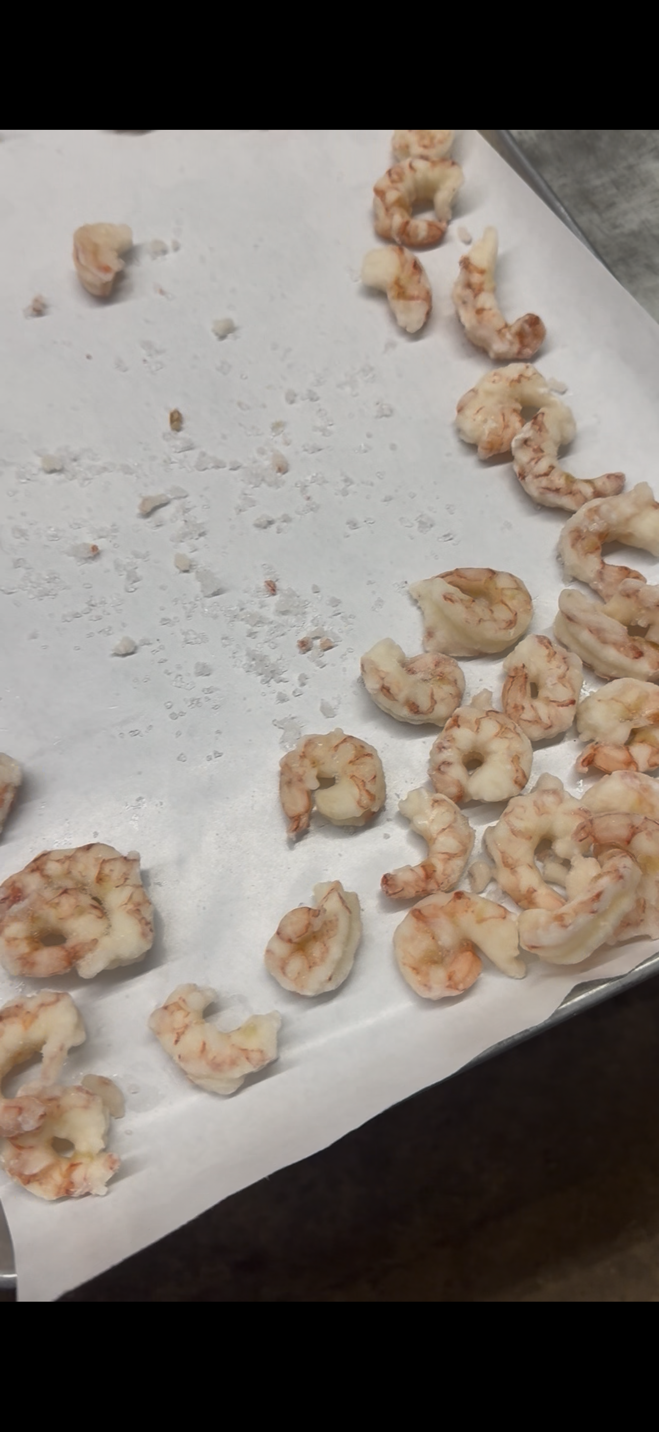 Shrimp
