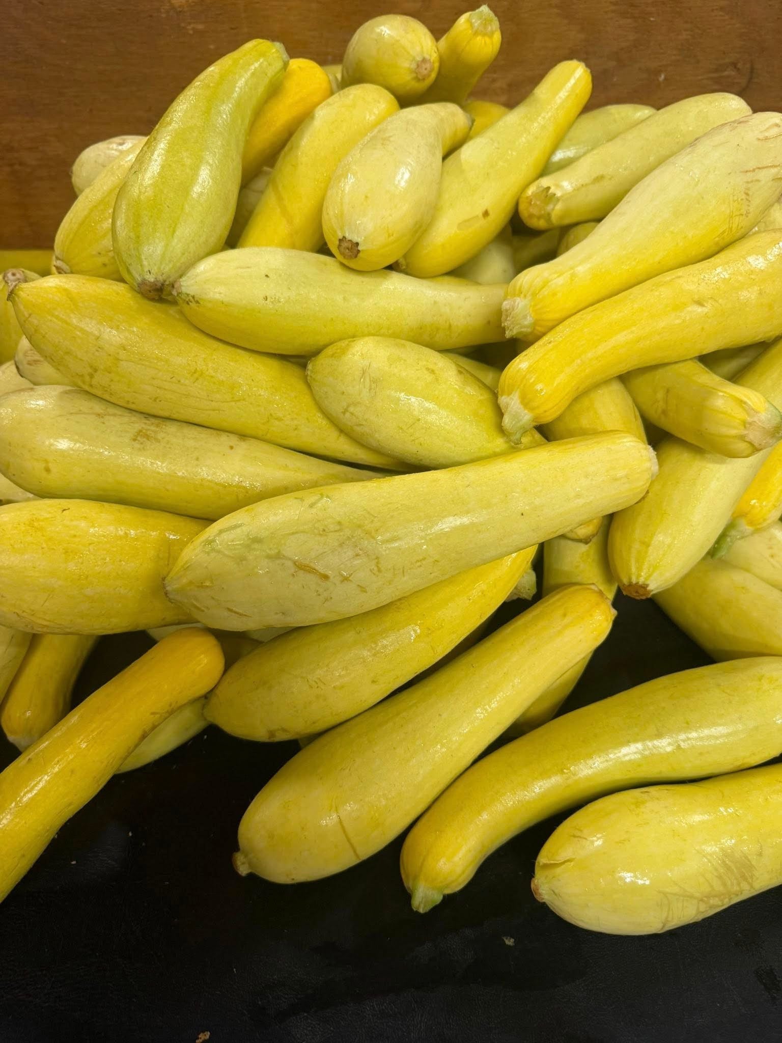 squash container