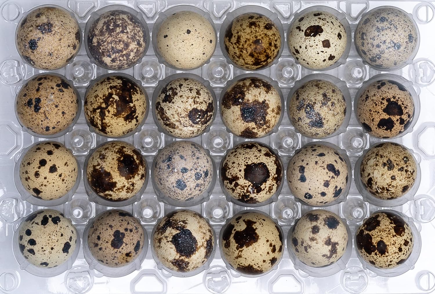 Quail Eggs